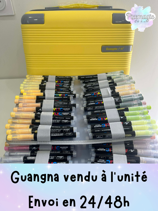 Feutre GuangNa brush marker à l'unité (700/799)