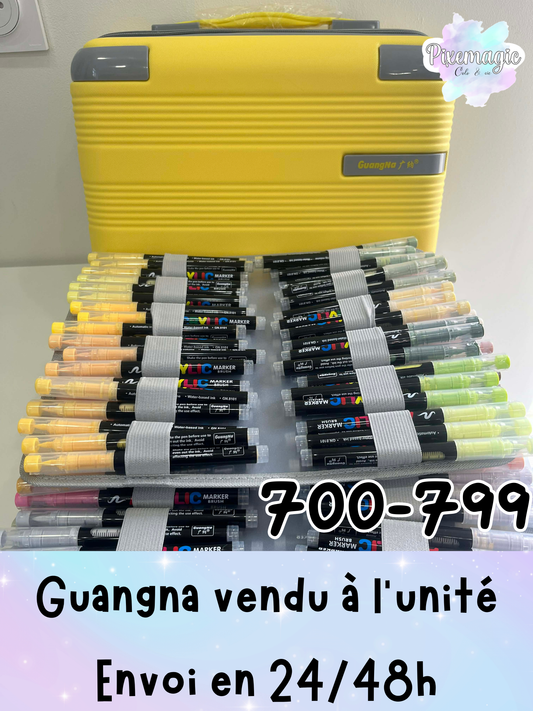 Feutre GuangNa brush marker à l'unité (700/799)