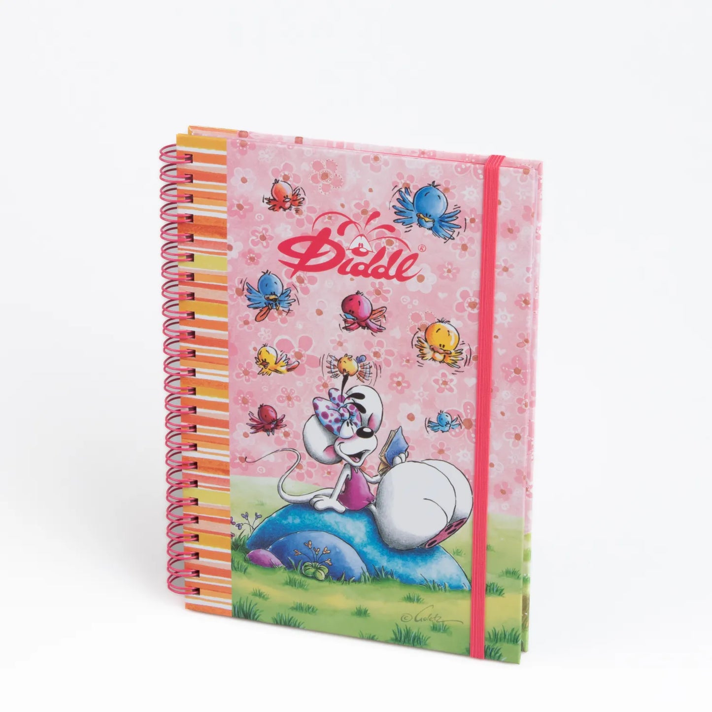 Cahier à spirale A5 élastique - DIDDL (Collection 2)