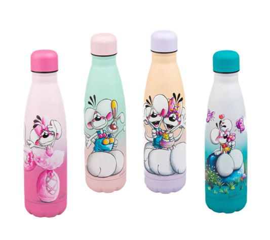 Gourde en acier inoxydable - DIDDL (Collection 2)