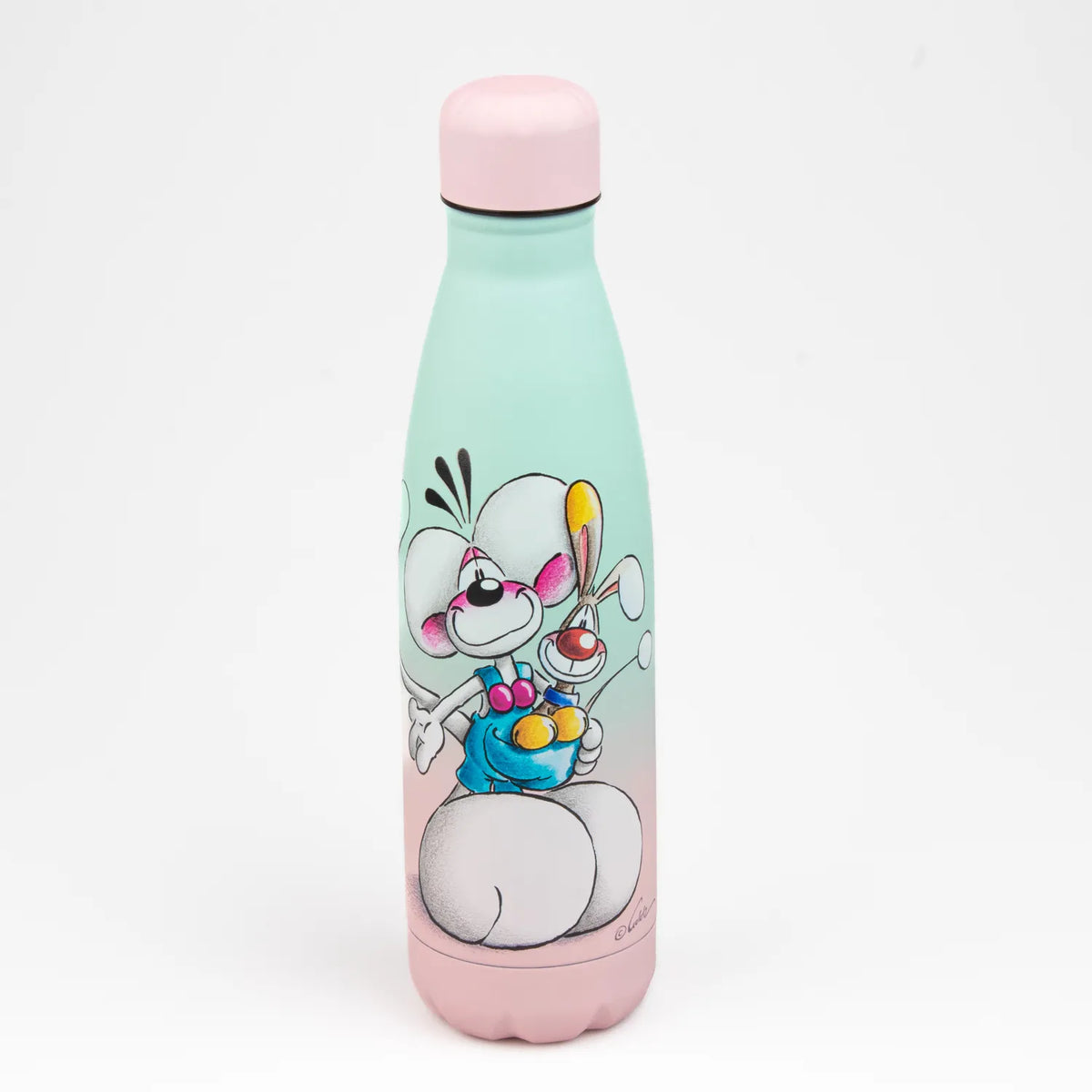 Gourde en acier inoxydable - DIDDL (Collection 2)