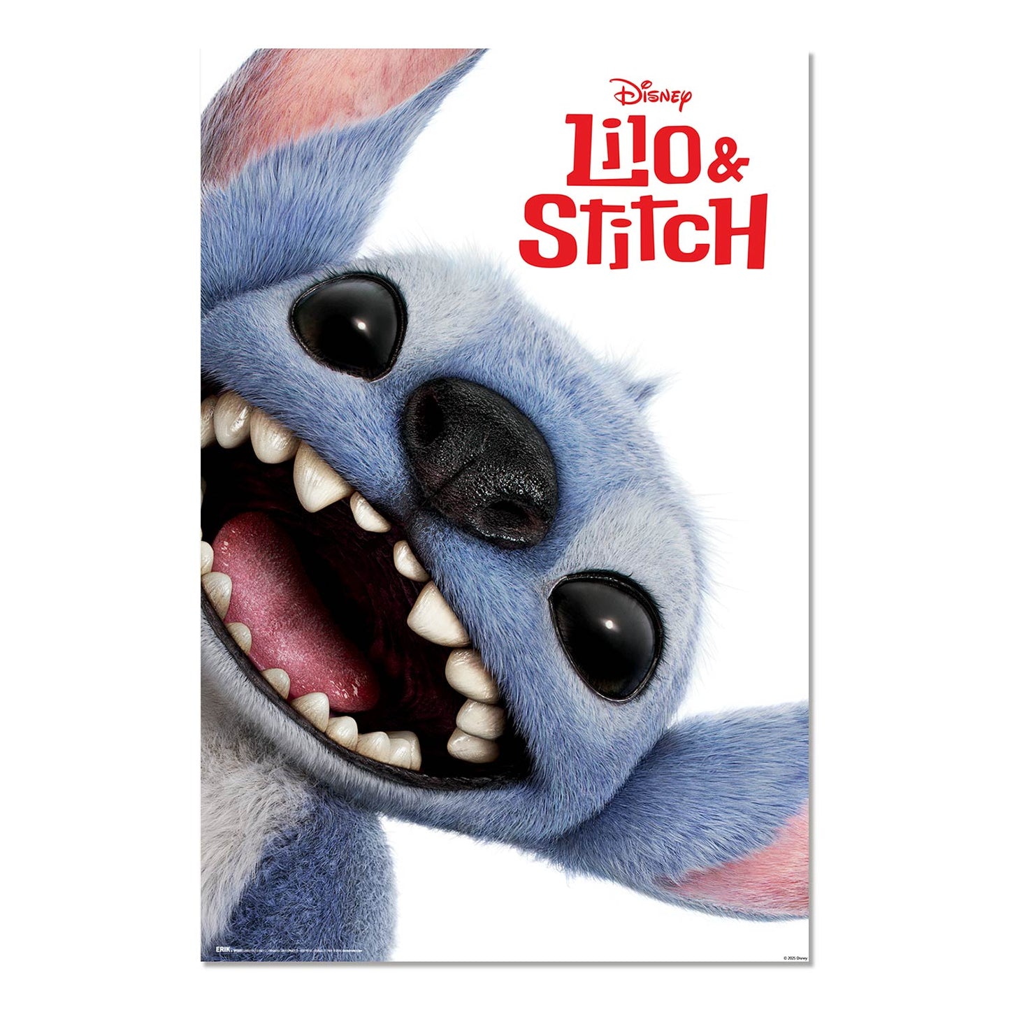 Poster Stitch